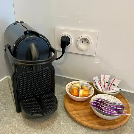 Elegant Championnet - 3 - Parking Prive * Grenoble