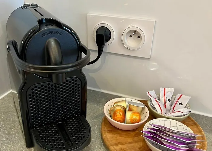 Elegant Championnet - 3 - Parking Prive * Grenoble